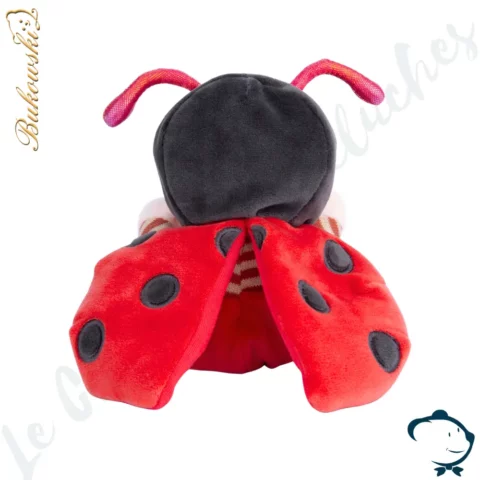 Ziggy Ladybug Bukowski