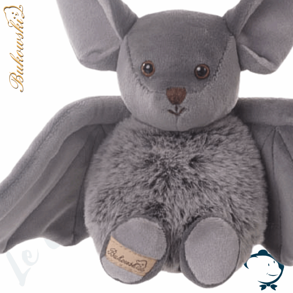 Baltazar, la gentille chauve-souris – Image 4