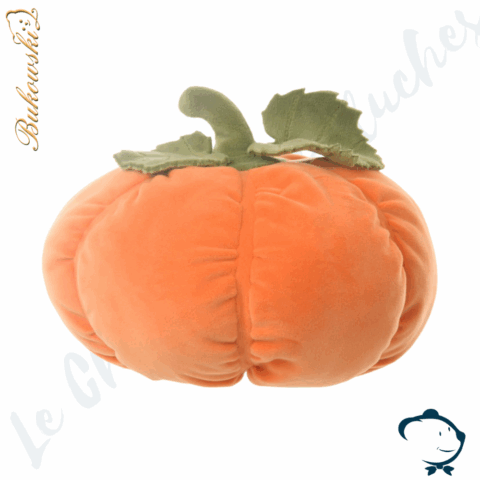 Pumpkin Family - Mr Pumpkin XL