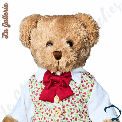 Cédric - Edition limitée & Collector