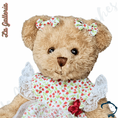 Claire - Edition limitée & Collector