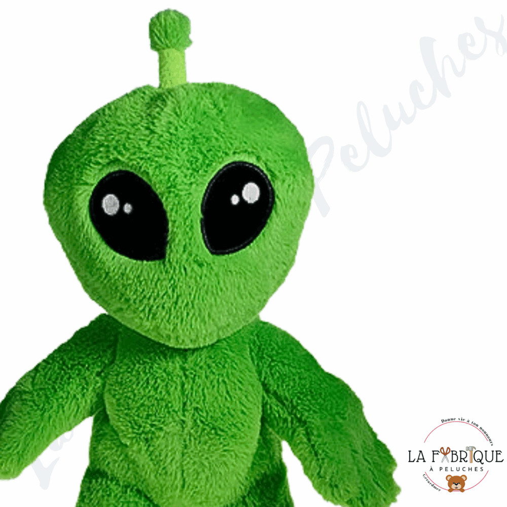 Je Fabrique Allan, l'Alien – Image 2
