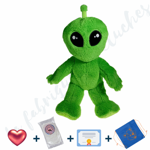 Je Fabrique Allan, l'Alien