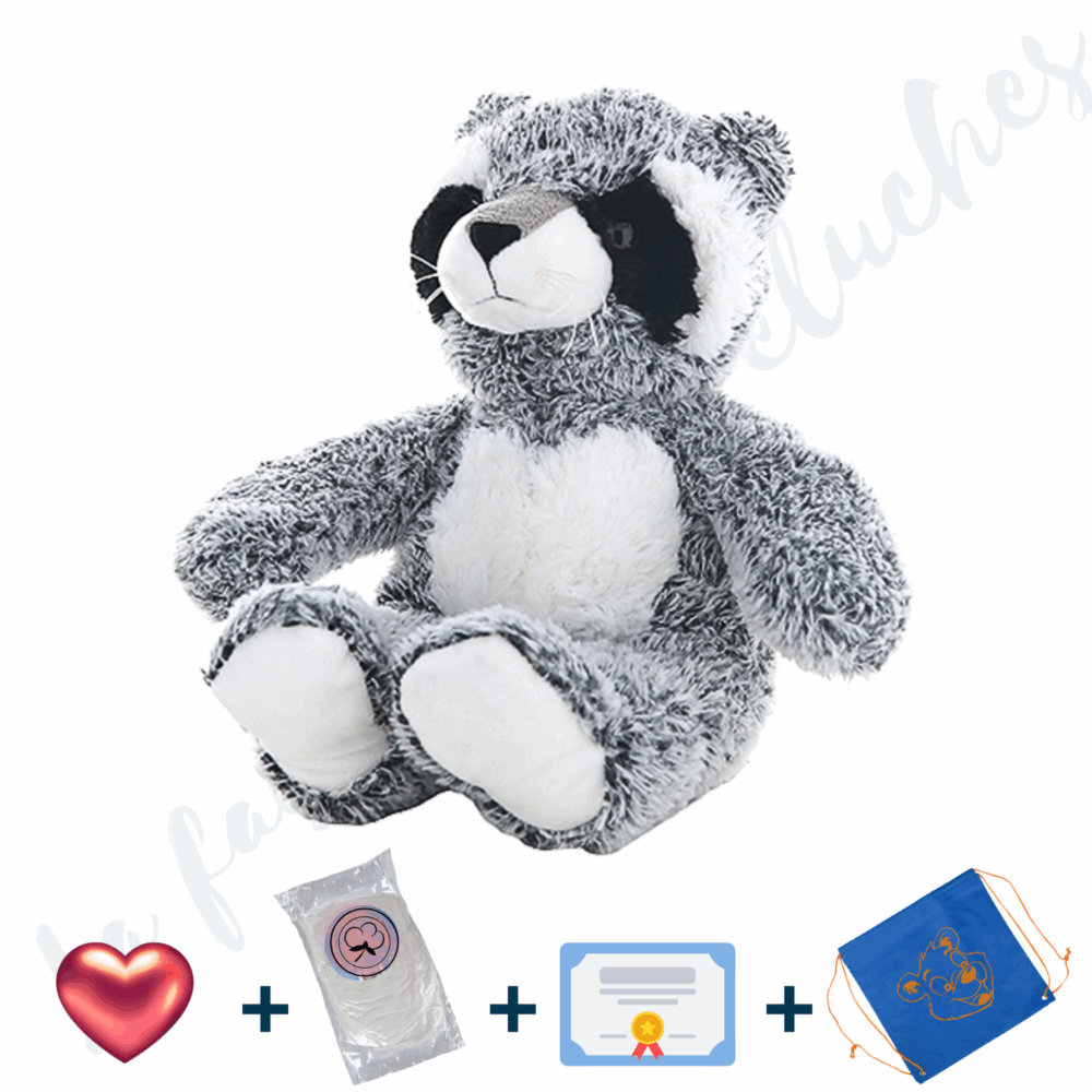 Je Fabrique Bandit, le Raccoon