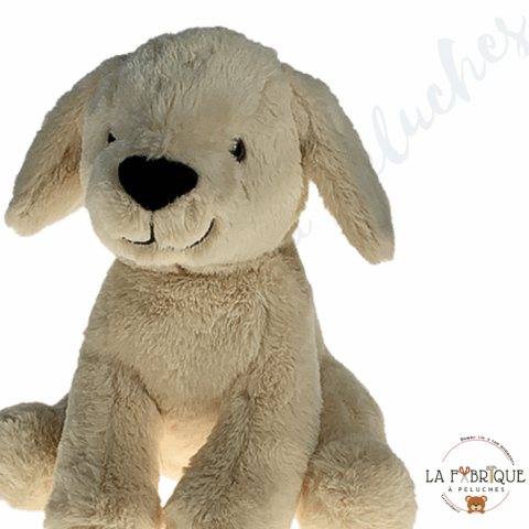 Je Fabrique Blondie, le labrador