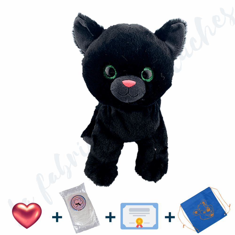Je Fabrique Cinders, le chat noir