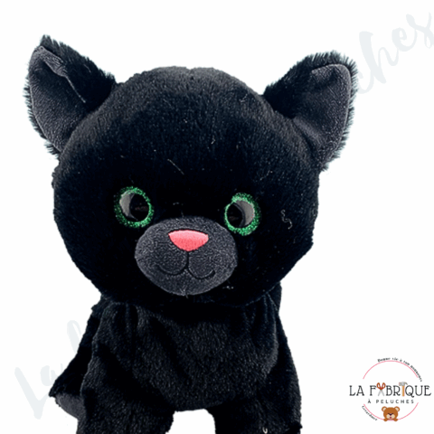 Je Fabrique Cinders, le chat noir