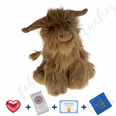 Je Fabrique Maggie, la vache highland