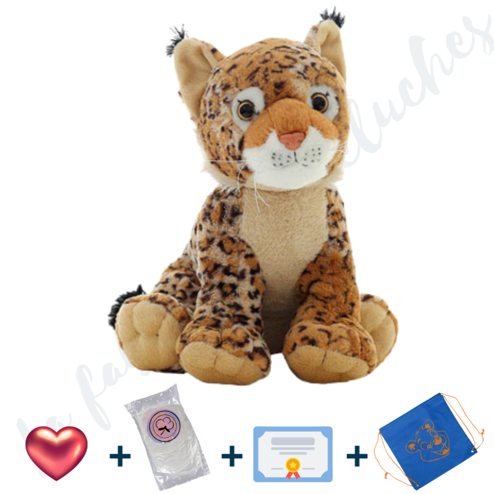 Je Fabrique Bob, le Lynx des Vosges