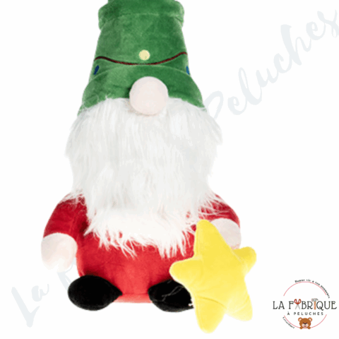 Je Fabrique David, le Gnome