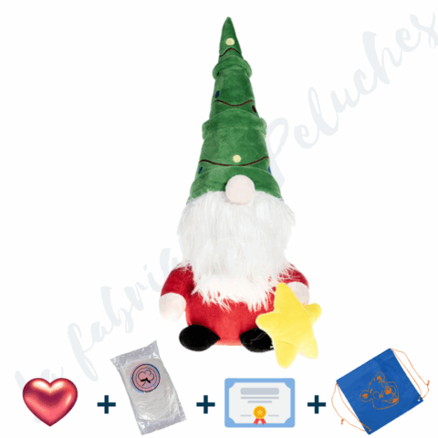 Je Fabrique David, le Gnome