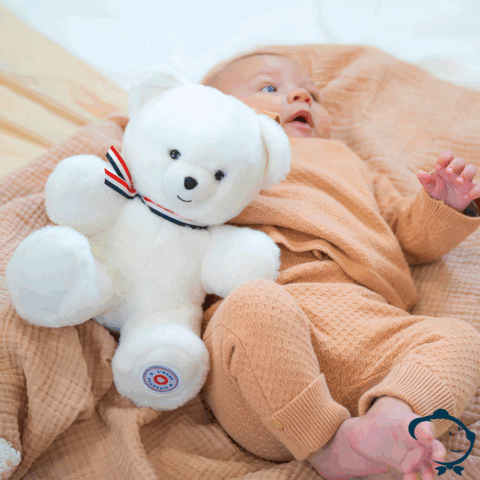 Le petit ours Français - Blanc flocon