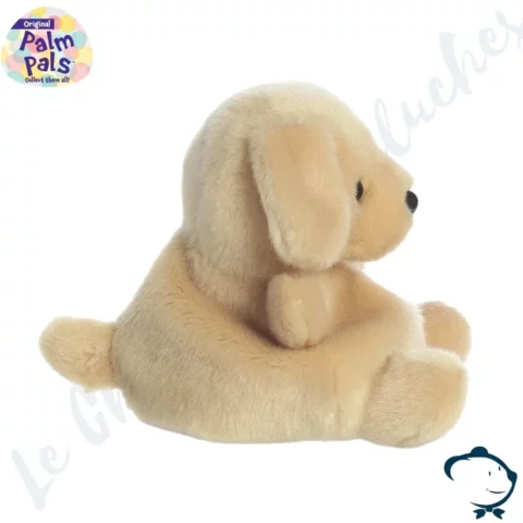 Sunny Labrador Palm Pals