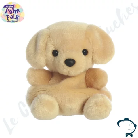 Sunny Labrador Palm Pals