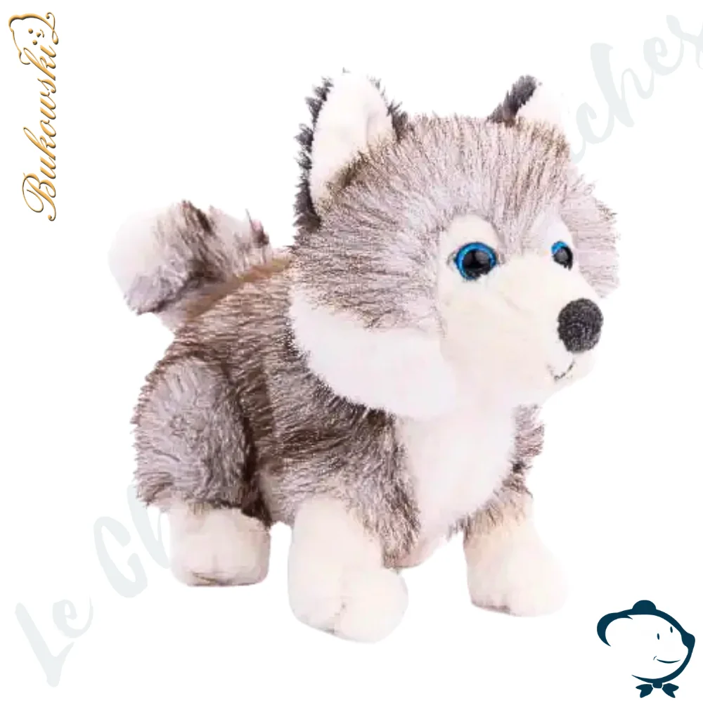 Baby Husky Bukowski