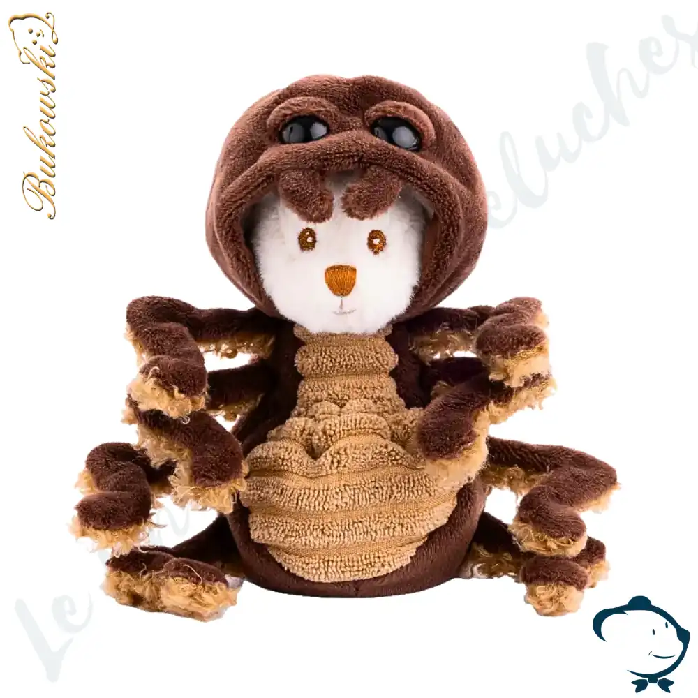 Ziggy Spider Bukowski