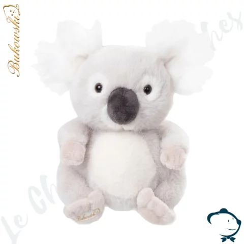 Baby Koala Bukowski