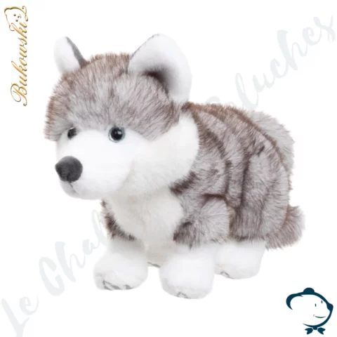 Sweet Husky Bukowski