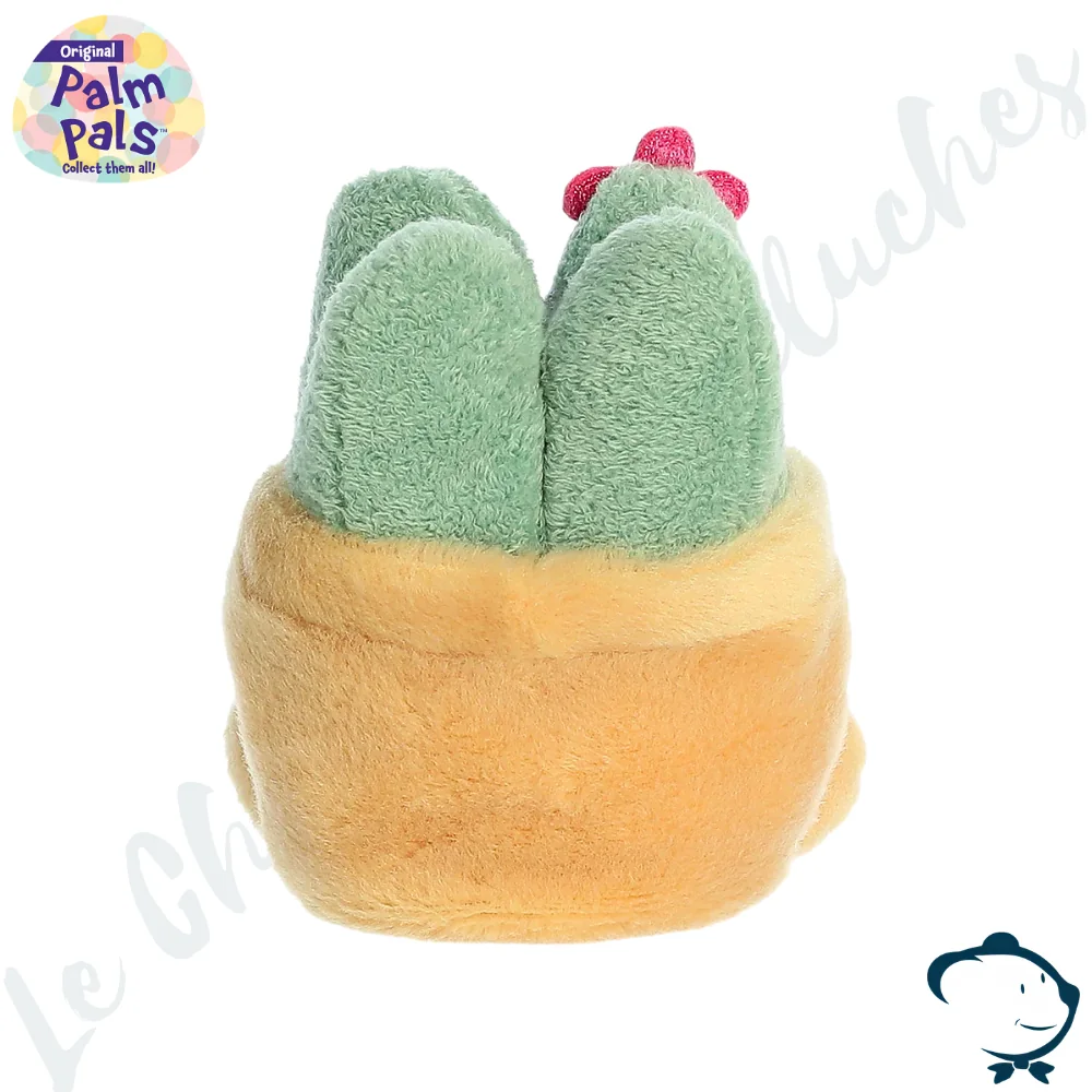 Peluche Seyla Succulent