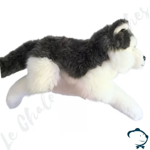 Peluche Husky – 35 cm