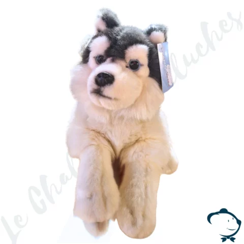 Peluche Husky – 35 cm