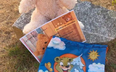 Fabrique à peluches : un concept unique pour créer son compagnon